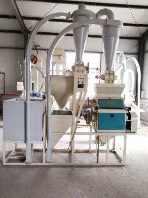50噸-100噸 大型日本大香蕉视频深加工成套 機組 日本大香蕉视频脫皮製糝機